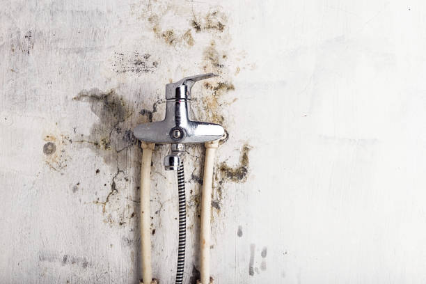 Myrtle Beach, SC Mold Remediation Company