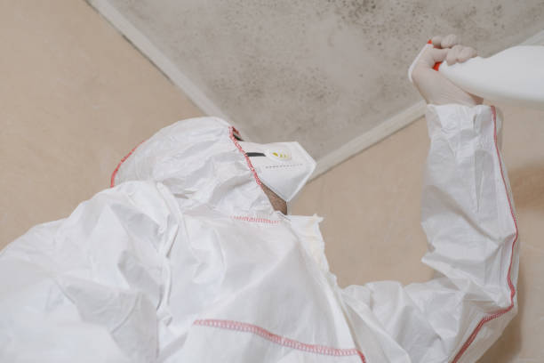 Best Bathroom Mold Remediation in Myrtle Beach, SC